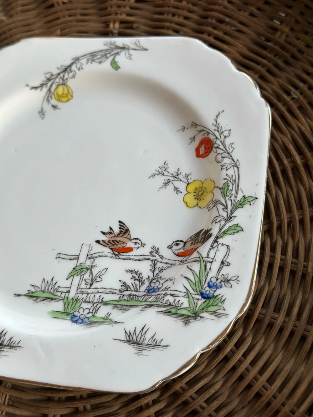 Vintage English Bone China Tea Bowl Saucer Bird Cottagecore Gold Trim